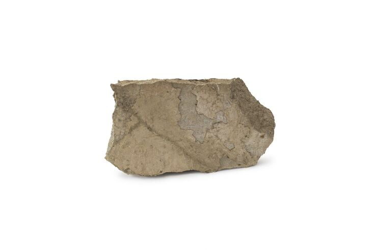 11_collecting_knowledge_solo_1_pieza