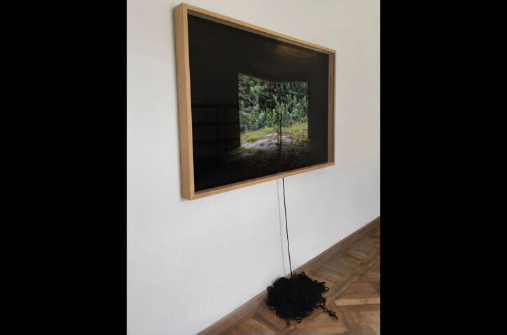 4_la_imposibilidad_del_verde_2016