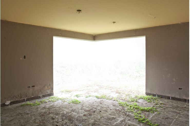 la-imposibilidad-del-verde-2015-01