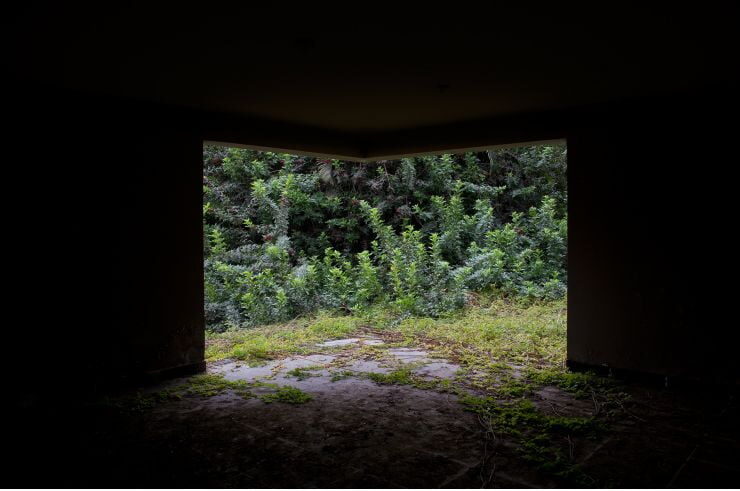 la-imposibilidad-del-verde-2015-02