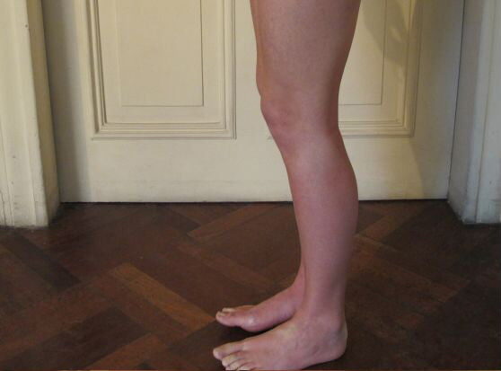 el-obsequio-de-la-mujer-arana-7